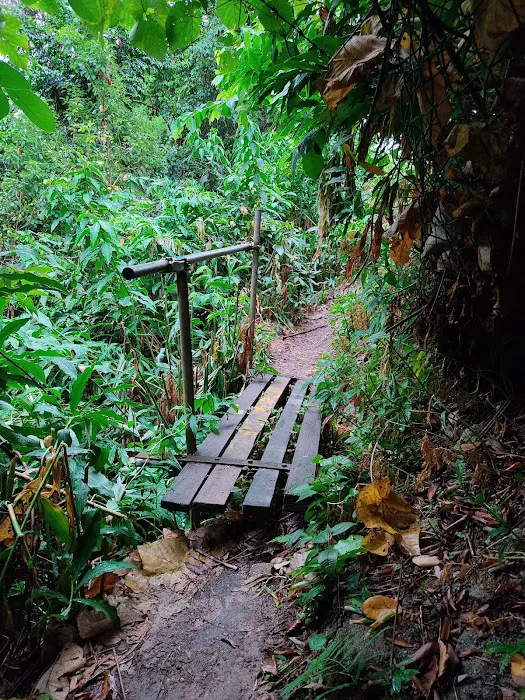Bukit Jugra Peak Picture 7