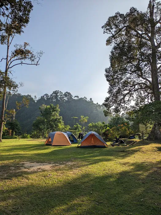 Campstay Sungai Lembing Picture 4
