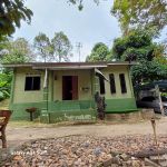 Rumah tokki Bugis