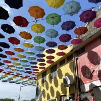 TEMERLOH UMBRELLA STREET ico