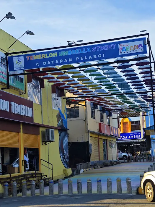 TEMERLOH UMBRELLA STREET Picture 2