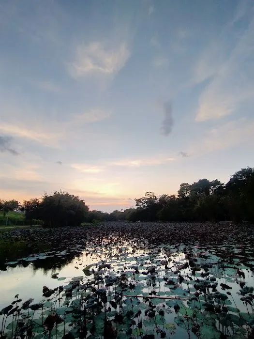Taman Awam Kubang Gajah Picture 6