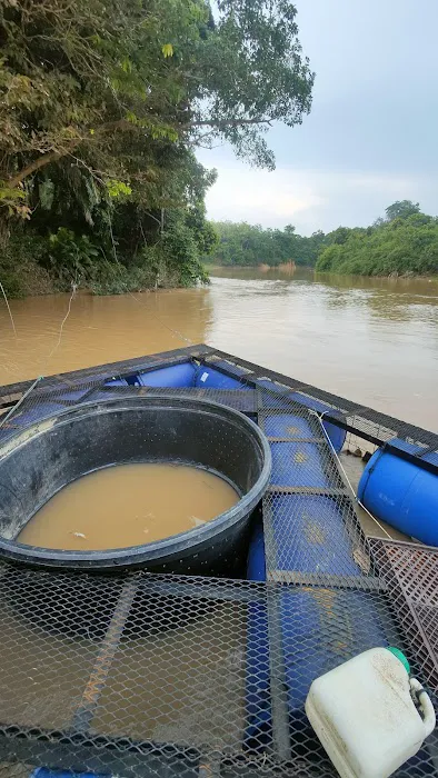 Rumah Rakit r2 ( House Boat ) Picture 8