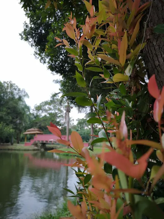 Taman Awam Temerloh Picture 3