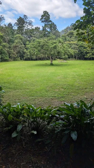 Bumbun Tabing Picture 6