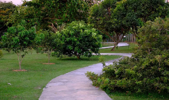 Railway Park Picture 1