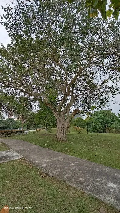 Railway Park Picture 8