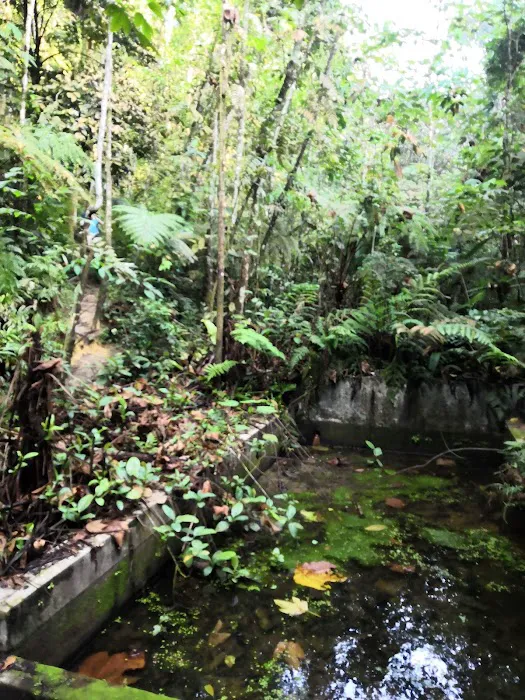 Rumah Pandu Puteri Selangor PJ Picture 9