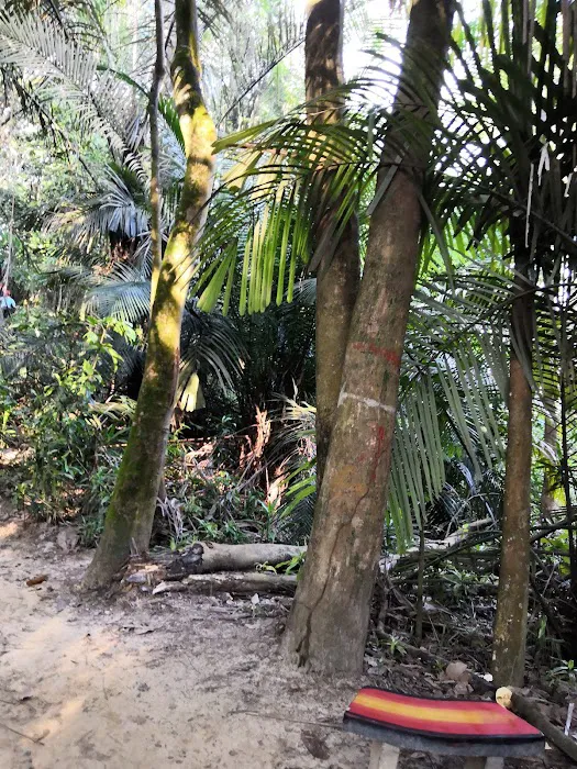 Rumah Pandu Puteri Selangor PJ Picture 8