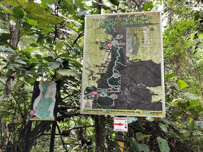 Bukit Gasing Hiking Trail Picture 10