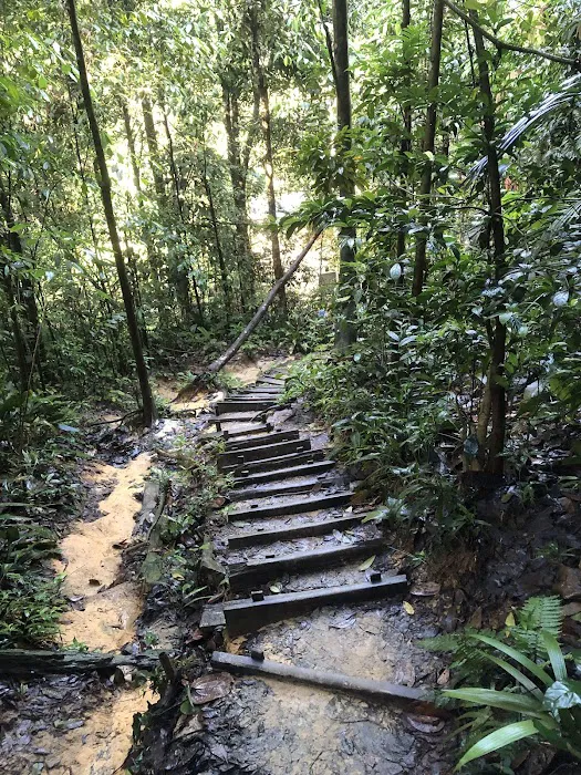 Bukit Gasing Hiking Trail Picture 1