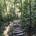 Bukit Gasing Hiking Trail
