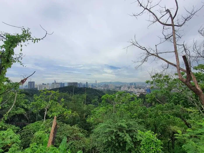 Bukit Gasing Hiking Trail Picture 5