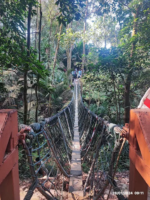 Bukit Gasing Hiking Trail Picture 4