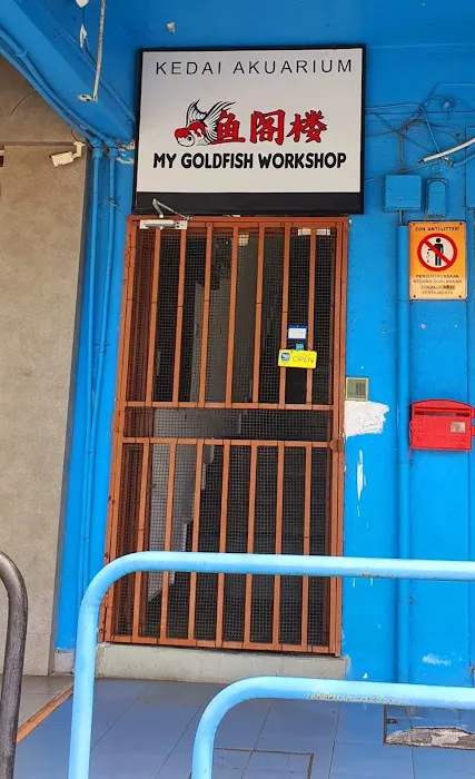 My Goldfish Workshop Picture 3