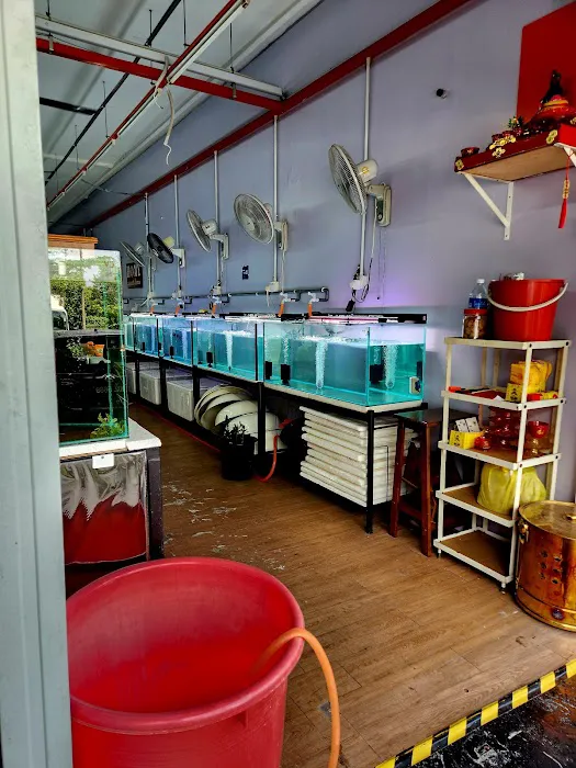 My Goldfish Workshop Picture 8