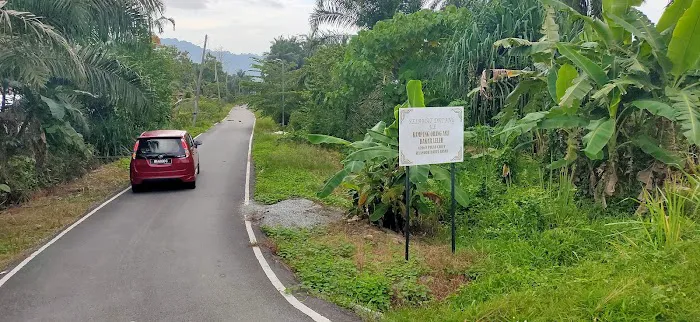Kg Orang Asli Bakar Leleh Picture 9