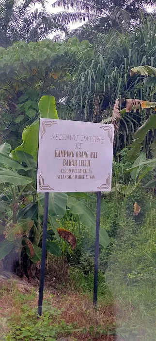 Kg Orang Asli Bakar Leleh Picture 2