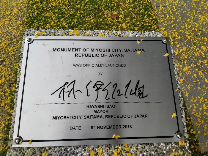 Sister Cities Square Picture 9