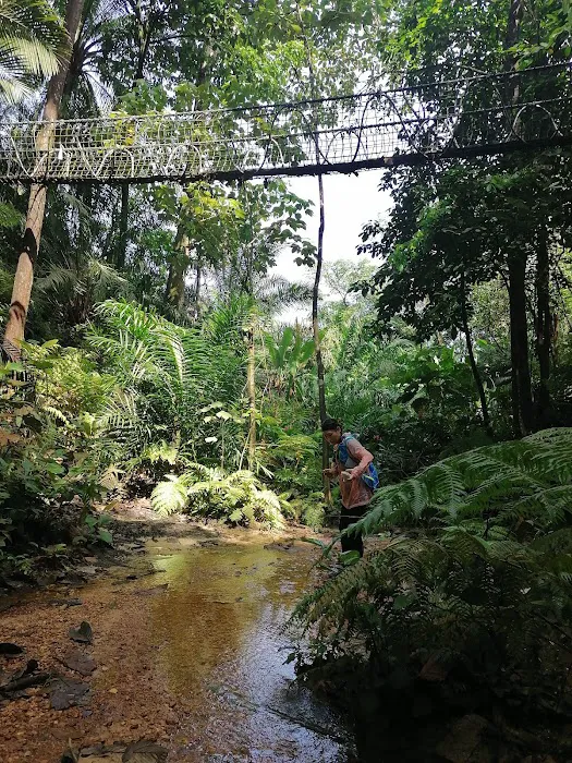 Hutan Pendidikan Bukit Gasing Picture 9