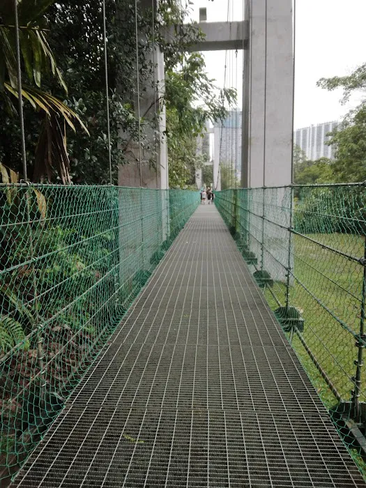 Hutan Pendidikan Bukit Gasing Picture 10