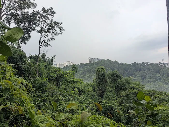 Hutan Pendidikan Bukit Gasing Picture 4