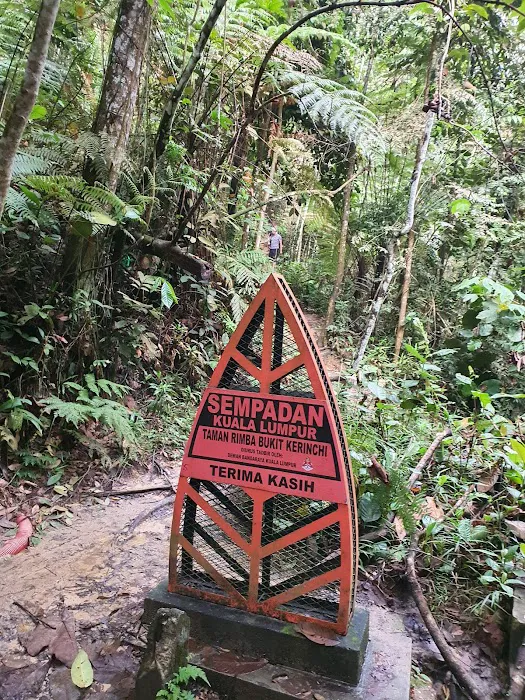 Hutan Pendidikan Bukit Gasing Picture 8