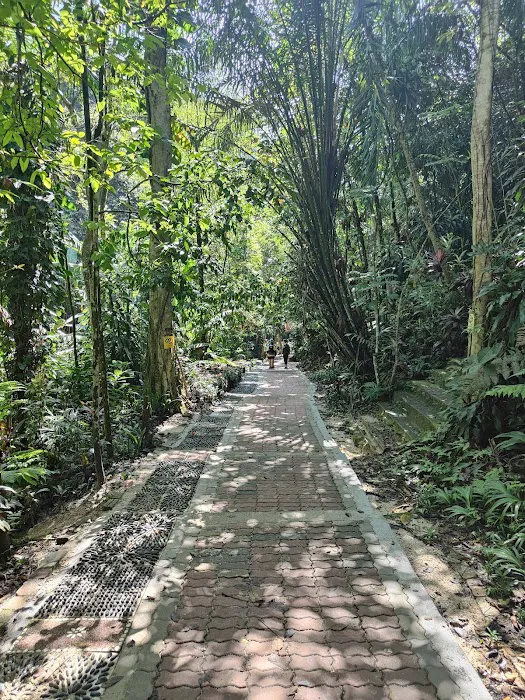 Hutan Pendidikan Bukit Gasing Picture 7