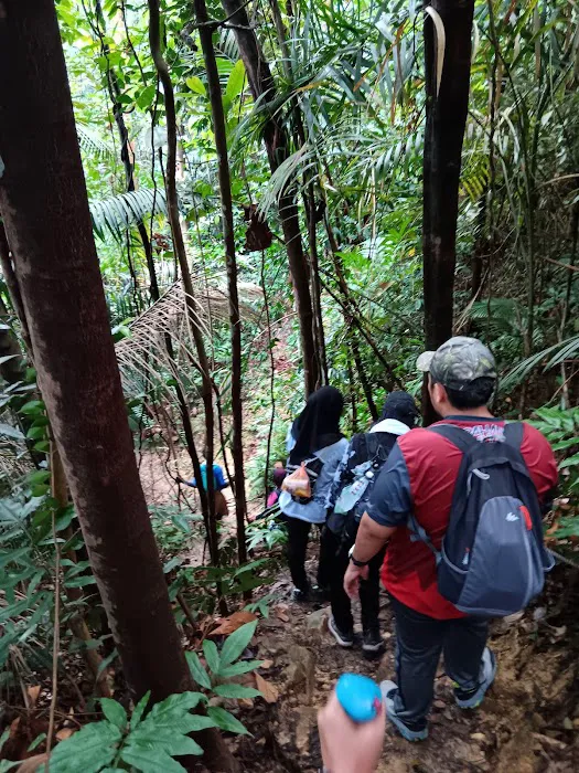 Peak Garden (North Hummock) (Bukit Pasir) Picture 3