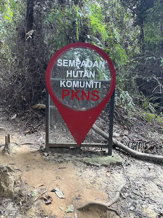 Peak Garden (North Hummock) (Bukit Pasir) Picture 4