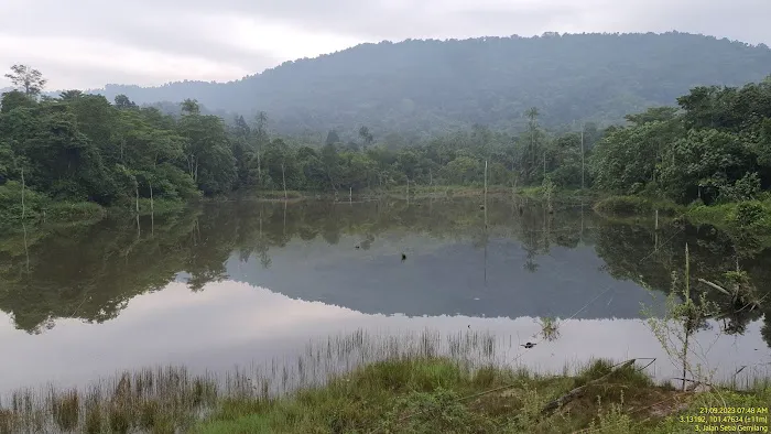 Peak Garden (North Hummock) (Bukit Pasir) Picture 5