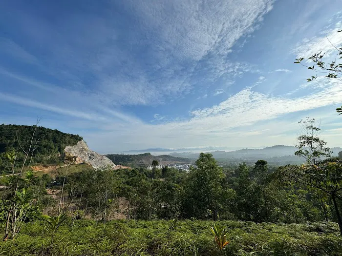 Peak Garden (North Hummock) (Bukit Pasir) Picture 6
