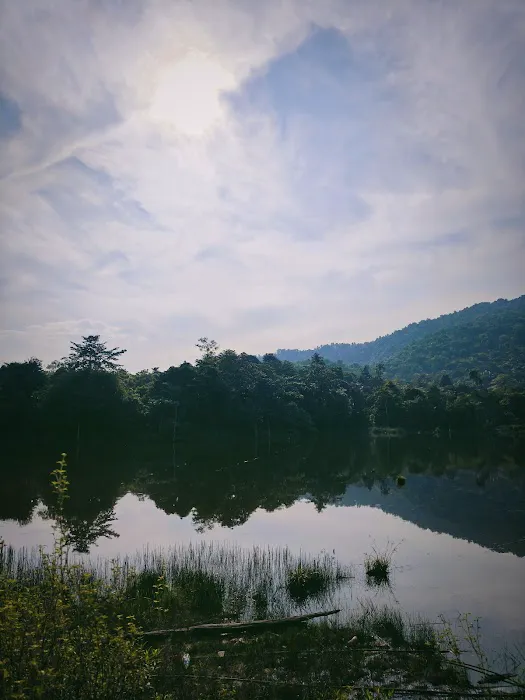 Peak Garden (North Hummock) (Bukit Pasir) Picture 8