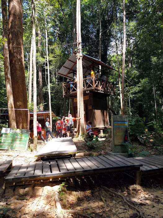 Canopy Walkway Kuala Tahan National Park Picture 2