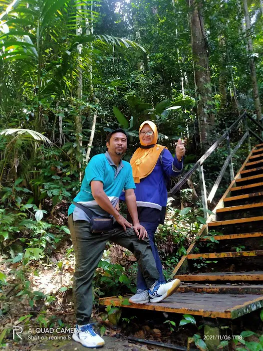 Canopy Walkway Kuala Tahan National Park Picture 7