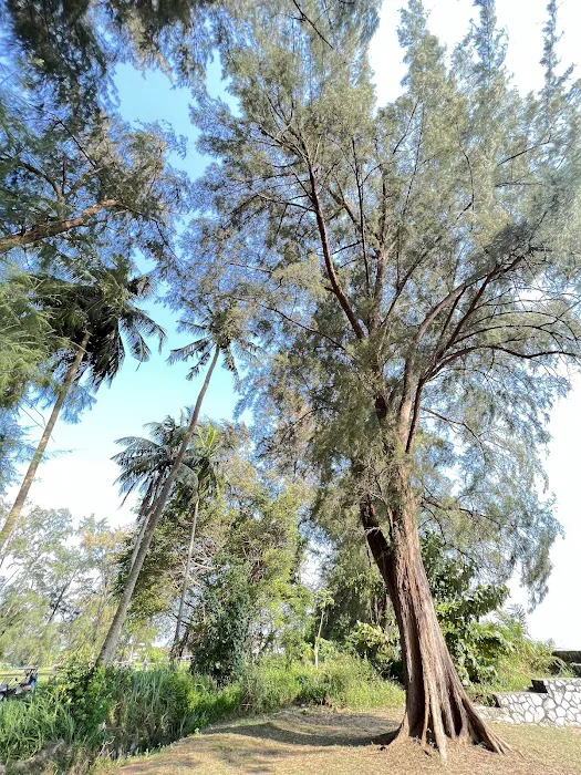 Seri Pantai Morib Picture 8