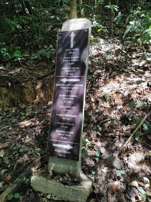 Bukit Terisek Picture 1