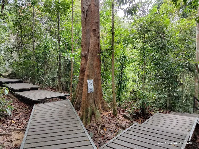 Bukit Terisek Picture 10