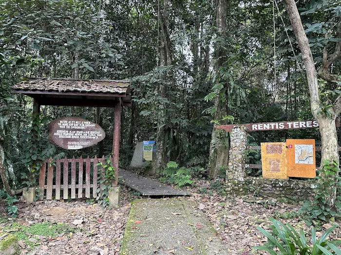 Taman Negara Pahang Jungle Walking Path Picture 4