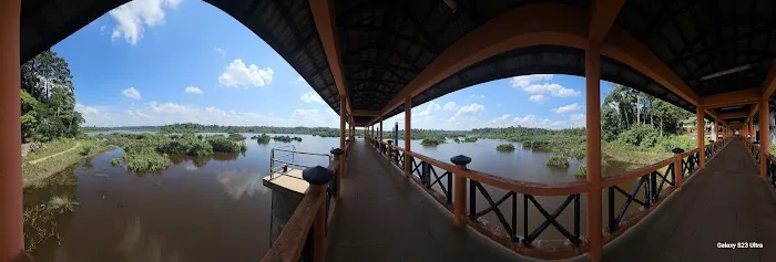 Jetty boat Picture 10