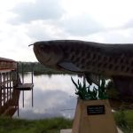 Tasik Bera Resort