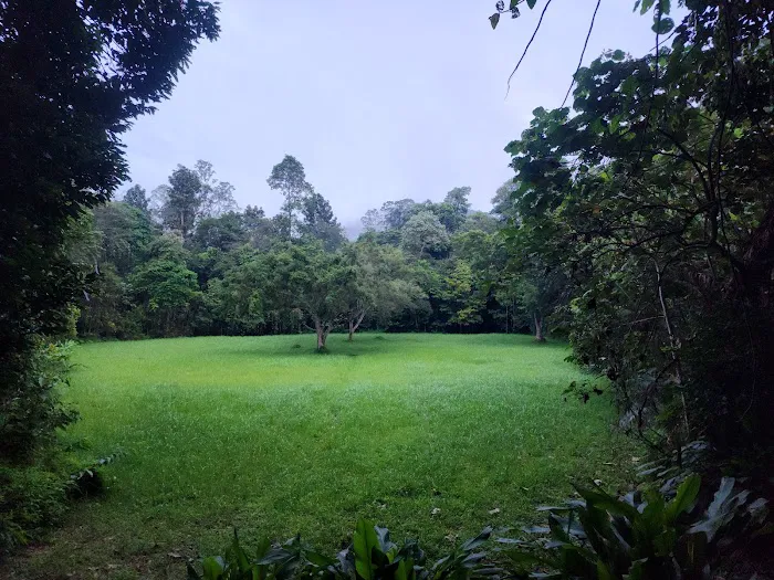 Taman Negara Pahang Salt Lick & Tahan Hide Picture 1