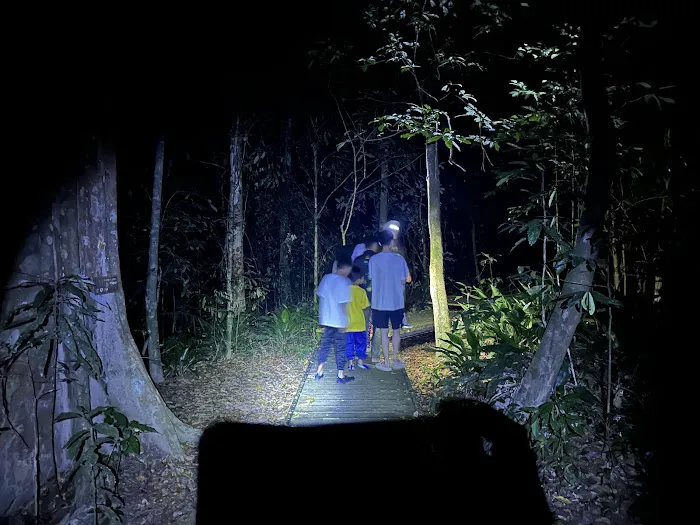 Taman Negara Pahang Salt Lick & Tahan Hide Picture 2