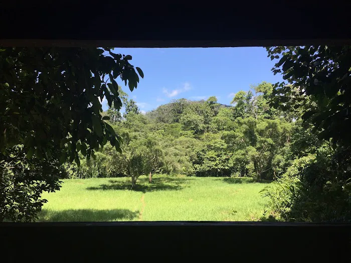 Taman Negara Pahang Salt Lick & Tahan Hide Picture 9