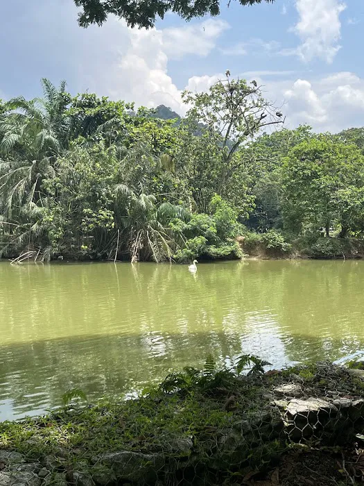 Pahang National Park Picture 2