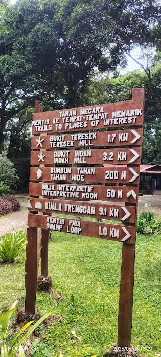 Pahang National Park Picture 5