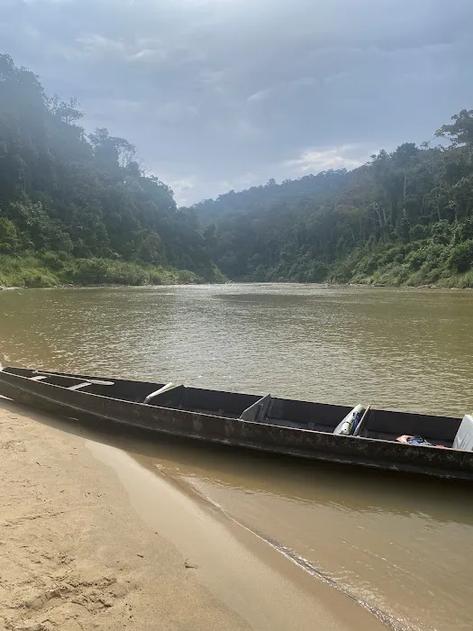 Pahang National Park Picture 9