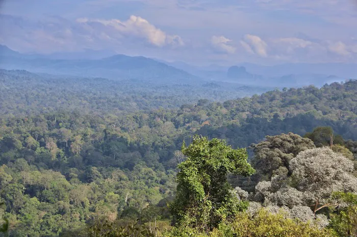 Pahang National Park Picture 1