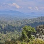 Pahang National Park