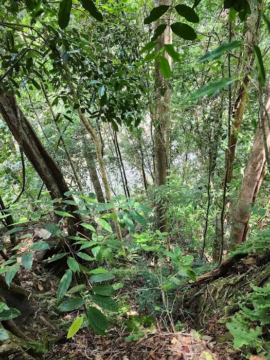 Bukit Indah Picture 6